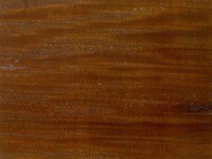 Madera de ipe - Maderas Grupo Pazos